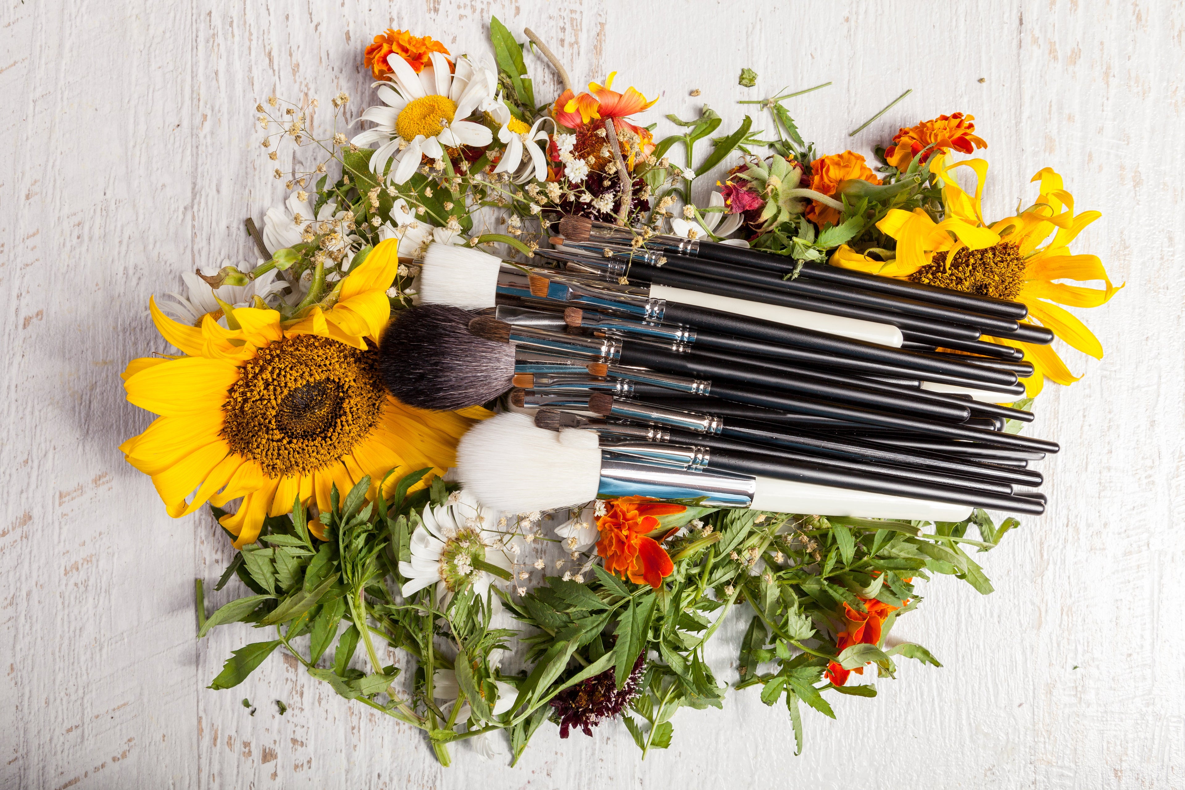 Travel Brush Sets