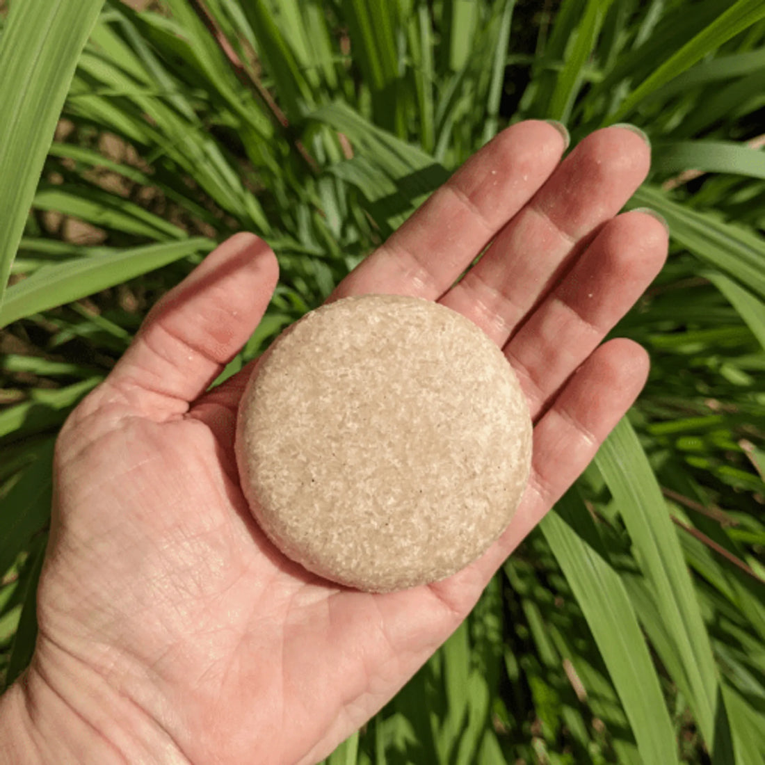 Zero Waste Shampoo Bar by Pet Shampoo