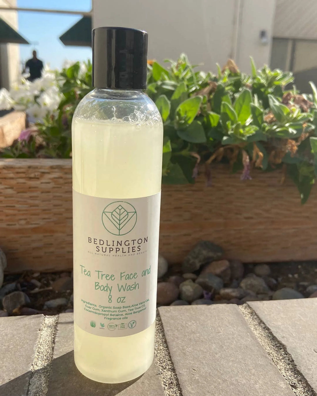 Tea Tree With Aloe Vera Gel Face and Body Wash, 8 oz